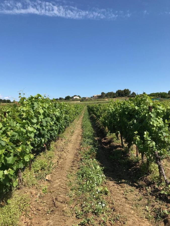 Domaine de Peilhan Roujan Extérieur photo