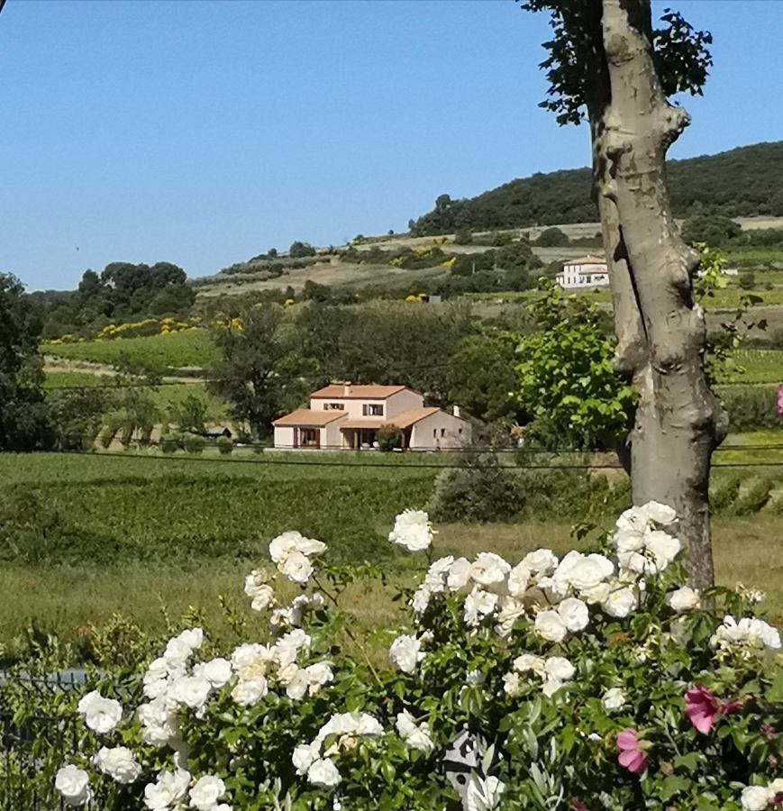 Domaine de Peilhan Roujan Extérieur photo