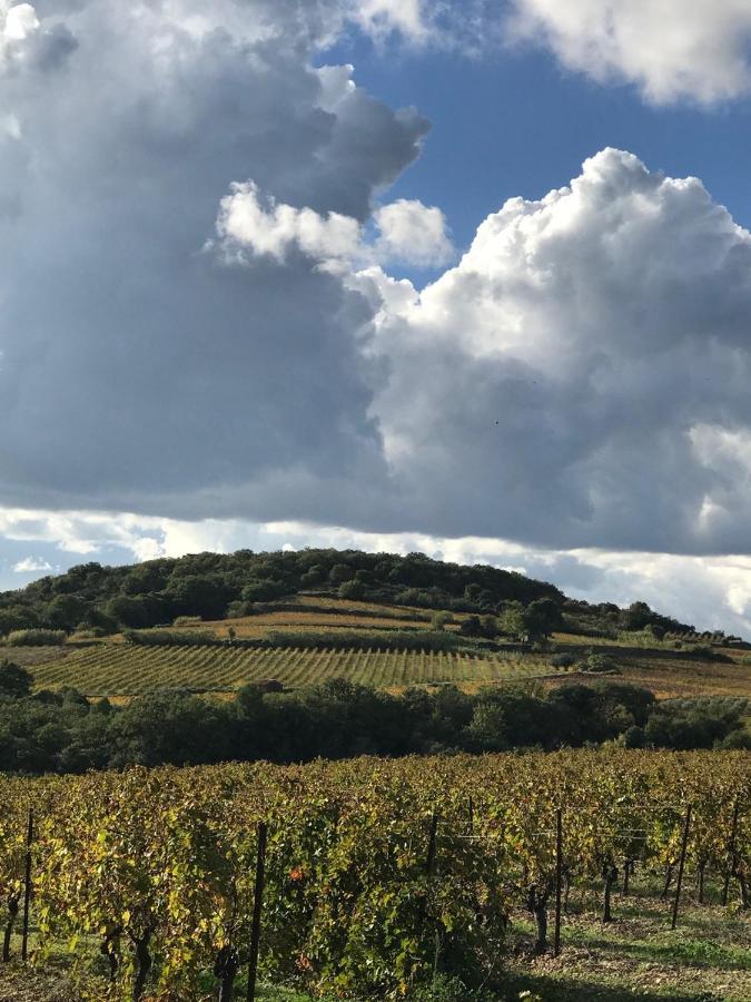 Domaine de Peilhan Roujan Extérieur photo