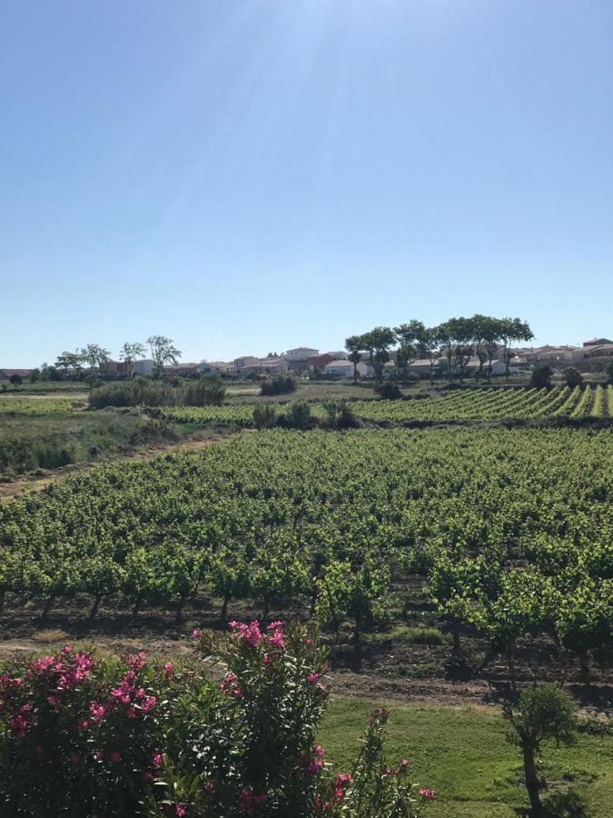 Domaine de Peilhan Roujan Extérieur photo